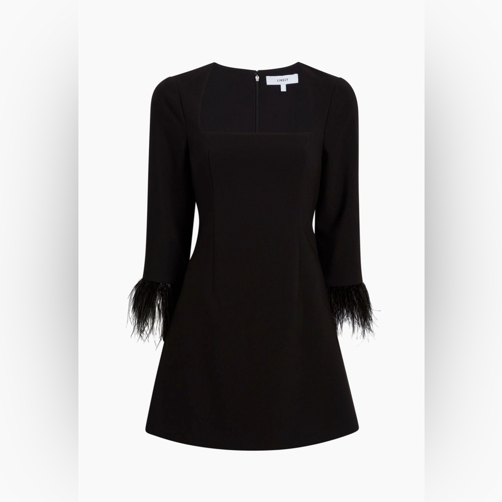 Cher minidress from likely